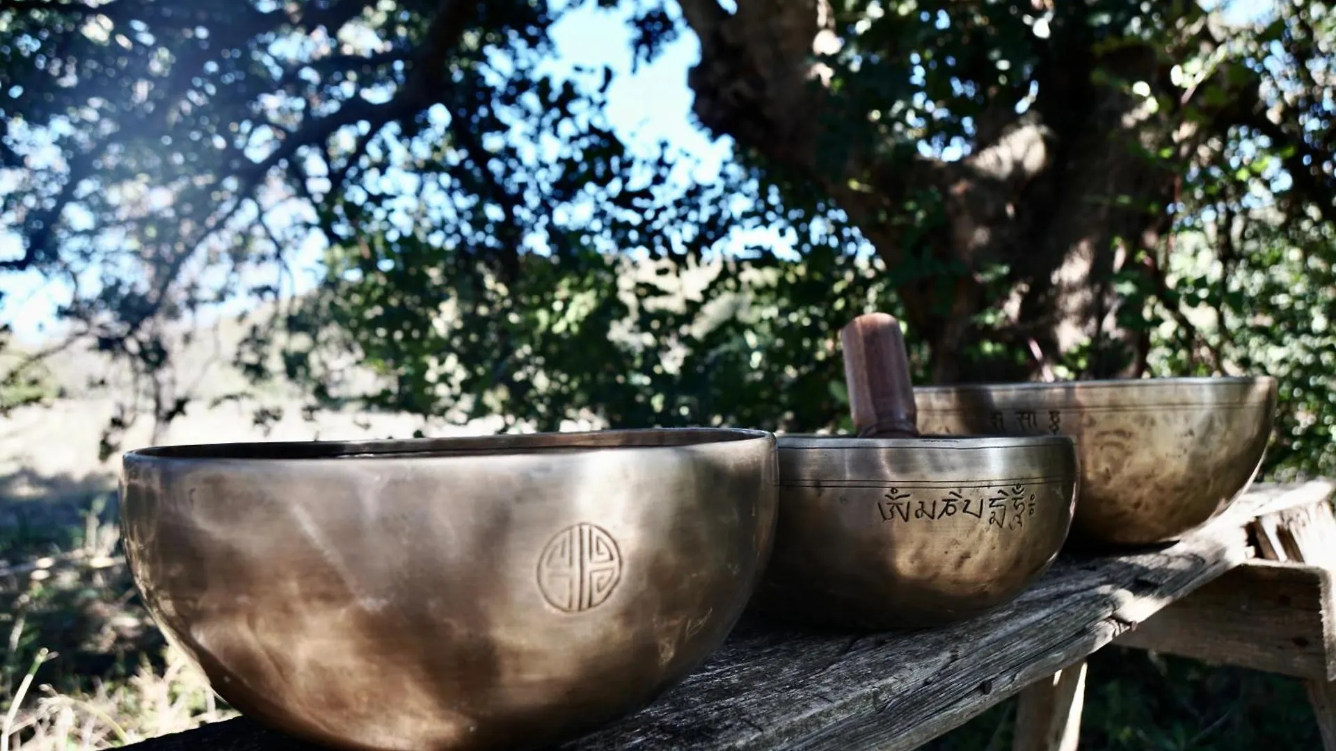 Soul Valley All-In Boutique Hotel For Yoga, Veggie & Wellness Lovers Maracalagonis